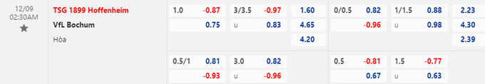 Nhận định, soi kèo Hoffenheim vs Bochum, 02h30 ngày 09/12 - Ảnh 2