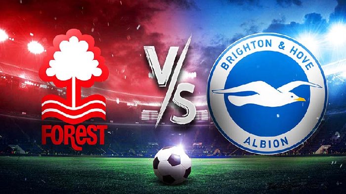 Nhận định, soi kèo Nottingham vs Brighton, 22h00 ngày 25/11